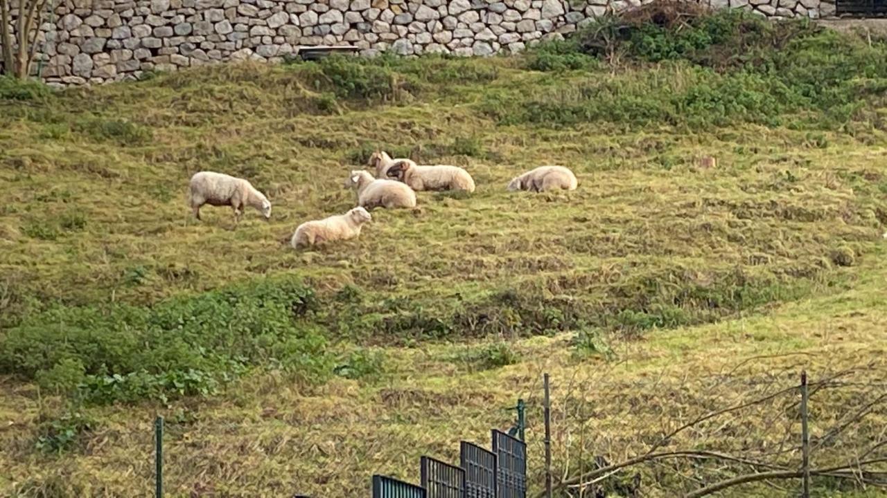 La Casa De Fito Cerca Del Centro De Comillas Dış mekan fotoğraf
